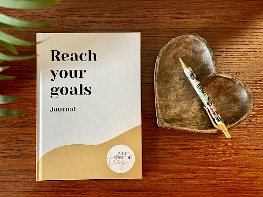 Bullet Journal Buch Reach your goals kaufen