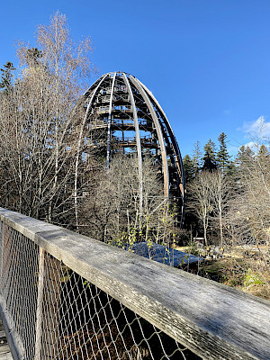 Baumwipfelpfad Neuschönau