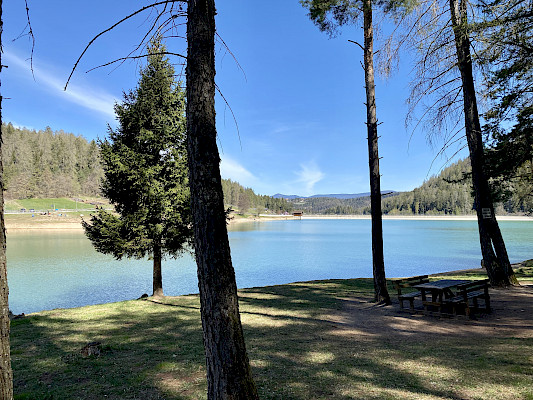 Pineta Nature Resort Predaia Lago di Tavon