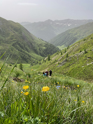 Wanderwohl Erfahrungen